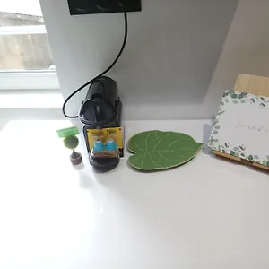 Cosy Apartment